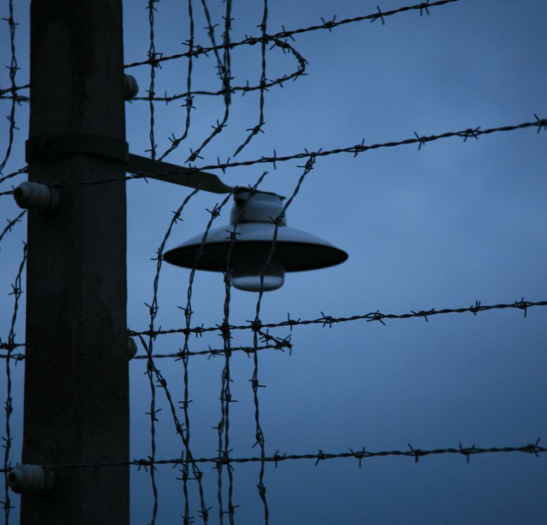 Demografska studija: Broj preživelih u Holokaustu pao ispod 200.000